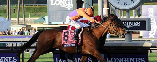 Beholder